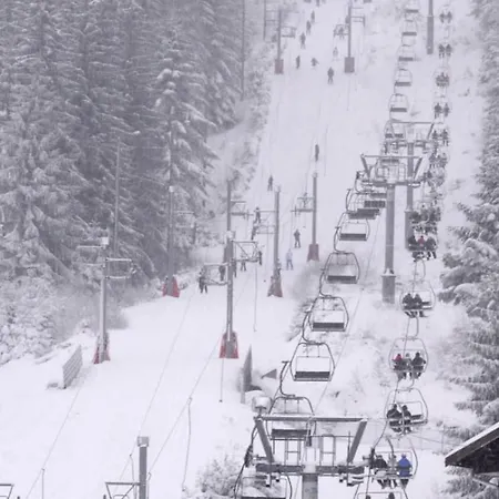 Spacious Close To Skiing And Nature !